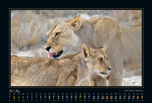Namibia Kalender "Into The Light" 2022 von Helmut Gries – Juli Motiv