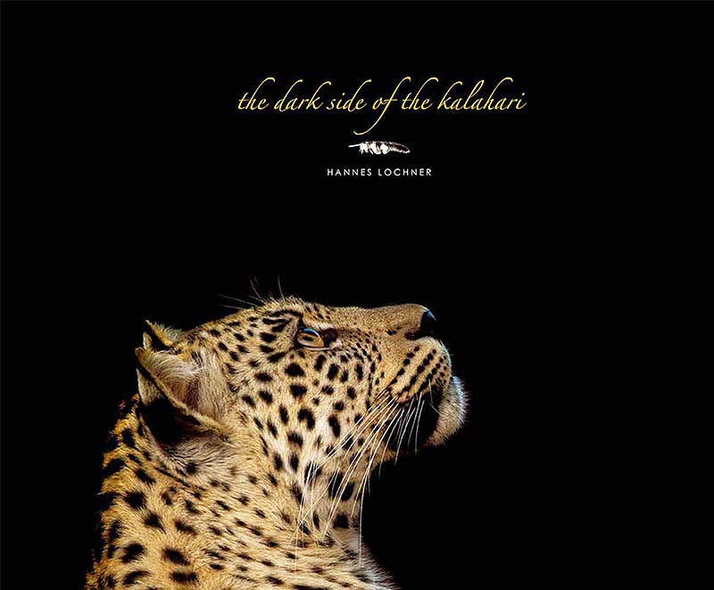  The Dark Side of the Kalahari